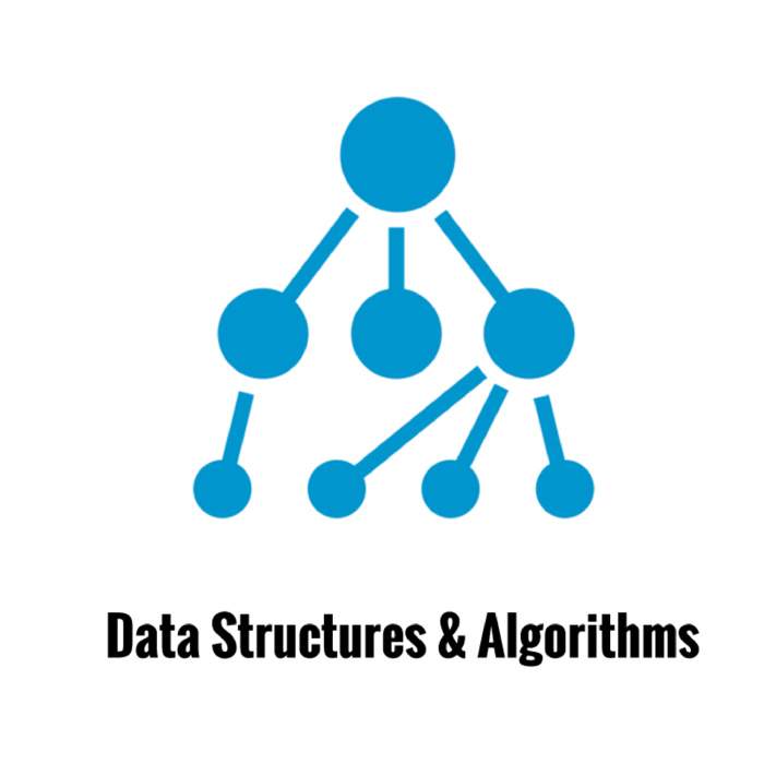 DSA logo